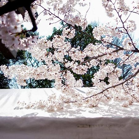 Tora Hotel Tokyo-Kitaueno 寅ホテル北上野 Luaran gambar