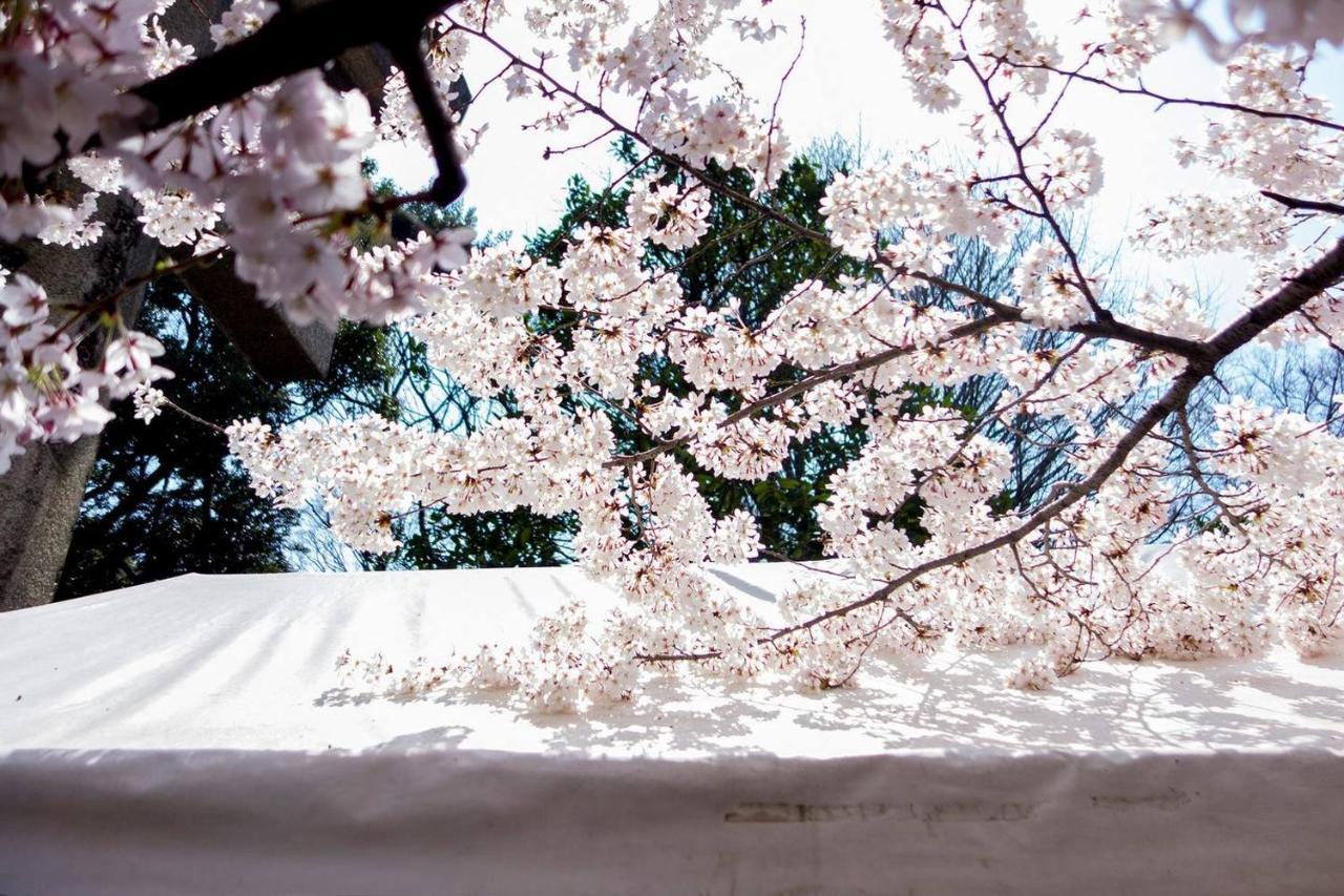 Tora Hotel Tokyo-Kitaueno 寅ホテル北上野 Luaran gambar